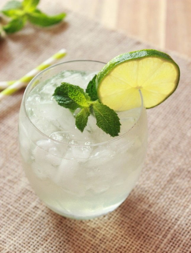 Skinny Mint Mojito