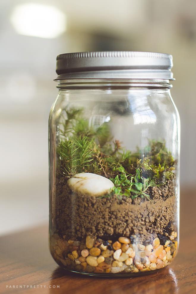 Moss Terrarium