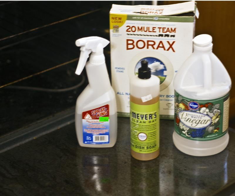 Nontoxic, Homemade Oven Cleaner