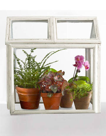 Use Picture Frames to Make a Terrarium