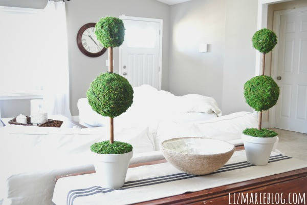 Moss Topiaries