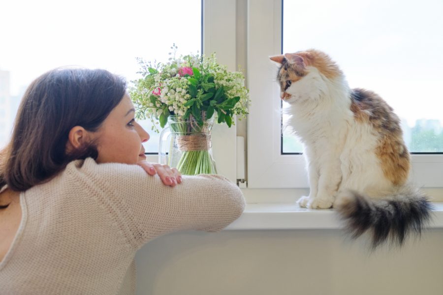 If Animals Could Talk: What Is An Animal & Pet Psychic?